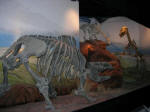 Dinosaur Museum at Trelew